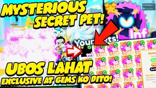 Pet Simulator X #24 - NAUBOS LAHAT ANG GEMS AT EXCLUSIVE PETS KO SA BAGONG *SECRET PET* RAINBOW TYPE