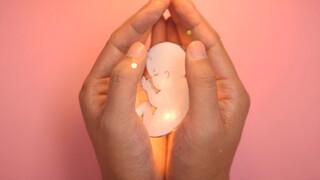 [Stop Motion Animation] Nỗi đau phá thai chỉ có trải qua mới biết được, hãy xem kỹ