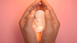 [Stop Motion Animation] The pain of abortion can only be known after experiencing it, watch carefull