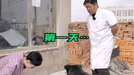 Rốt cuộc cho ăn gì?