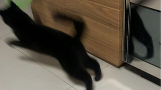 Menampilkan ilusi menghilang