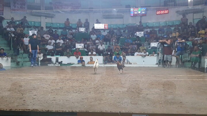 2hits champion. New Antipolo col.