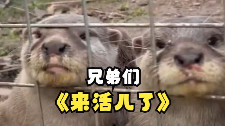 "Close-Up Science" is finally here—make sure to film at least three episodes!