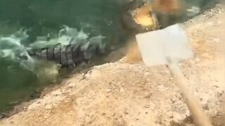 บทเรียนการเล่นโมติสกับบาซ