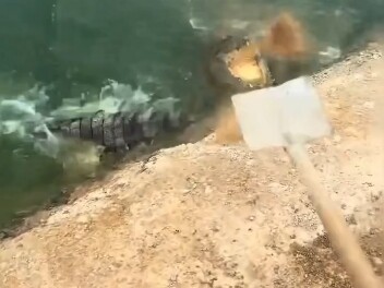 تعليم لعب موتيس ضد باز