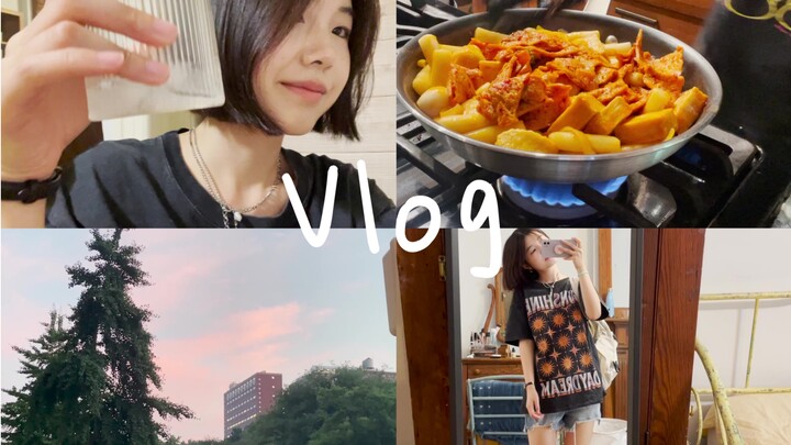Vlog Pindahan rumah akhirnya selesai, akhir pekan bisa masak sendiri, bebas makan tteokbokki pedas, 