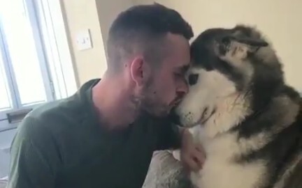What kind of owner deserves such a gentle dog?