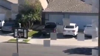 一看这窗户就知道是老MC了