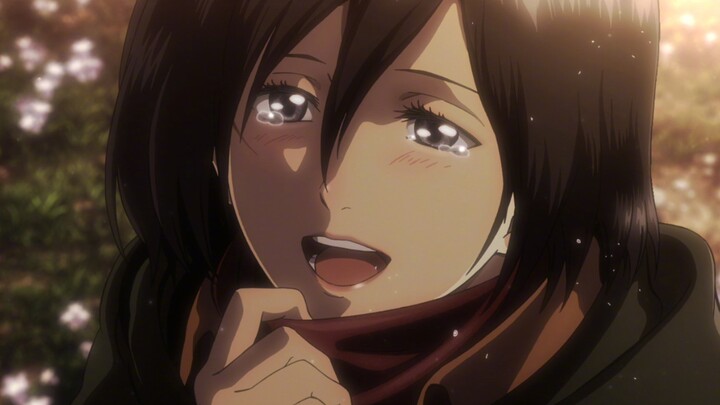 Happy wedding to Mikasa