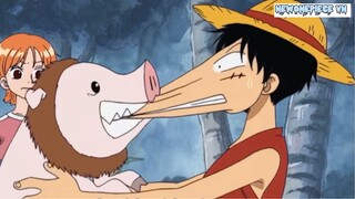 DOES LUFFY FEEL HURT ?? 🤣🤣