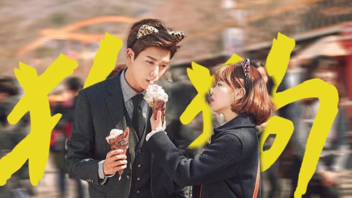 Sáu năm rồi! Cặp đôi cún cưng của tôi cuối cùng cũng có dịch vụ hậu mãi đỉnh cao!