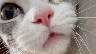 Is this for real or fake?