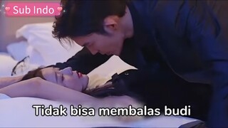 Wanita Ini Dipaksa Membalas Budi Kepada Ceo Tampan Untuk Melahirkan Keturunan