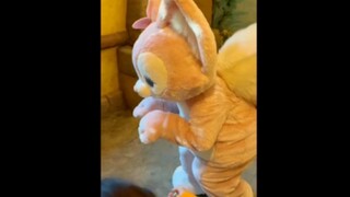 [Lina Belle] Cáo và cáo lén lút …… Cả nhà bấm vào cho tôi nhé! Dễ thương quá, mặt tôi đầy máu!