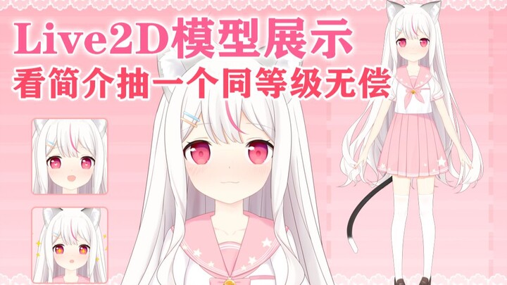 【Live2D模型展示】[本视频评论区抽一个同等级无偿建模]是超灵活可爱软软JK猫猫！