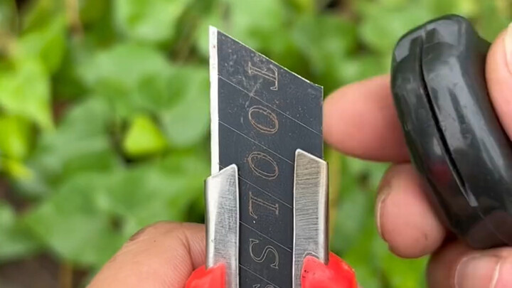 Mẹo vặt hữu ích trong cuộc sống