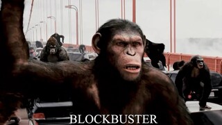 (ภาพยนตร์) ซีซาร์ลิงที่มีสติปัญญามากกว่าลิงทั่วไป