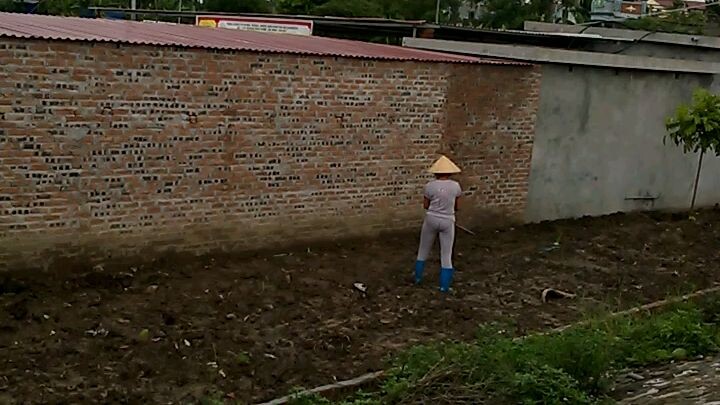 Hoài Thị Hiếu .