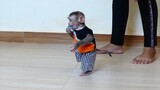 Super Cute Tiny Baby Maki Walking play with Mom And Help Mom Cleaning Bedroom