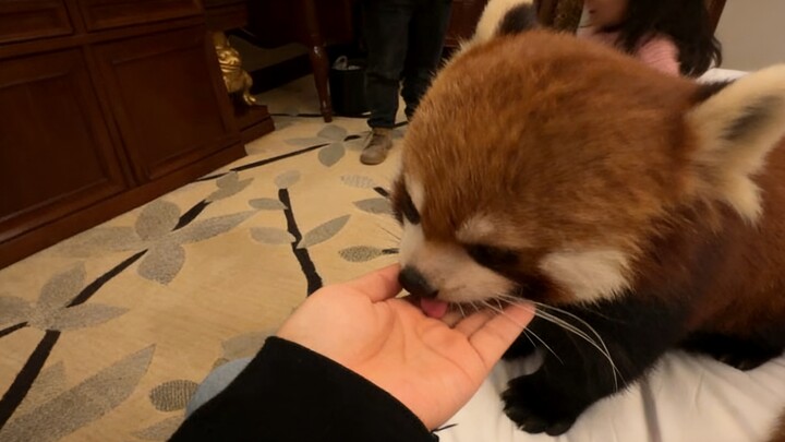Aaaah, so cute!!!