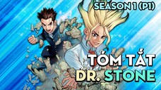 Tóm tắt phim "Dr.Stone" | Tiến Sĩ Đá | Season 1 ( P1 ) | AL Anime