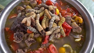 LẨU SÂU BỌ ĐUÔNG