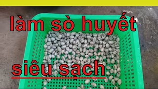 Cách Làm Sò Huyết Sạch Như Tẩy