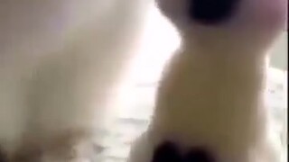 哈哈哈哈哈太可爱啦，妈妈的基因好强大