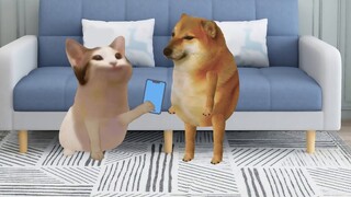 Khi bạn gái đặc biệt hiểu bạn