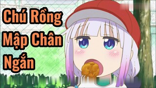 Chú Rồng Mập Chân Ngắn