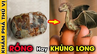 🔥 Các Nhà Khoa Học Không Tin Vào Mắt Mình Khi Họ Tìm Thấy Thứ Này.... | Khám Phá Thú Vị