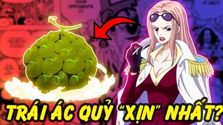 Những Trái Ác Quỷ Mạnh Nhất Mà Hải Quân Sở Hữu trong One Piece