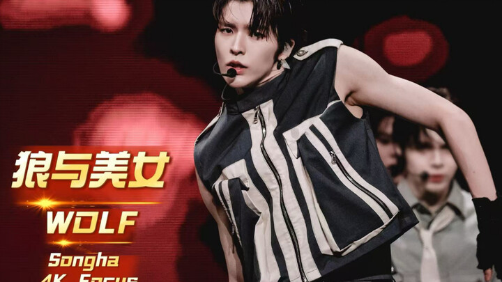 [You are a beauty and I am a wolf] Li Songhe Songha TIMA "Wolf and Beauty" stage 4K HD direct shot