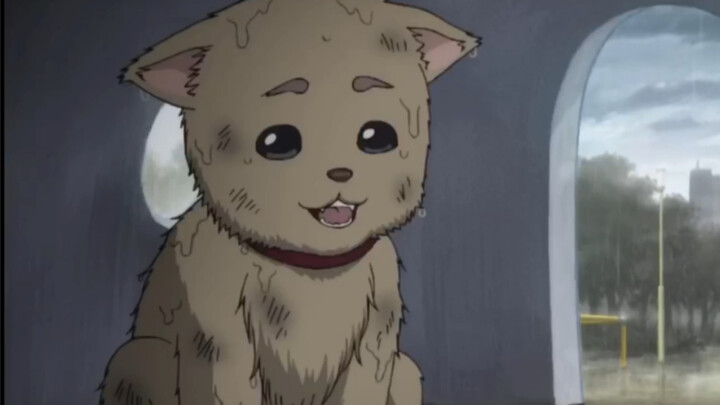 The most tear-jerking scene in Gintama: Sadaharu and the puppy