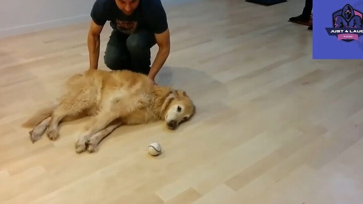 Cười mỗi ngày cùng tôi ! #videohaihuoc