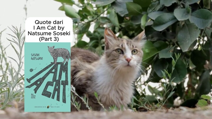 Quote dari I am Cat by Natsume Soseki (Part 3)