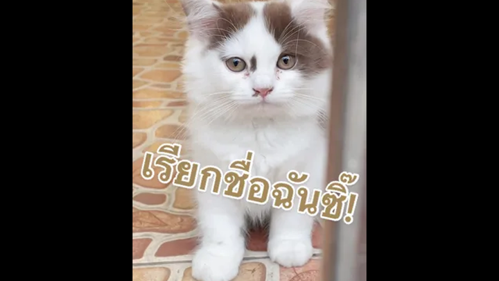 ตอบรับอยู่ไม่กี่ตังค์หรอก