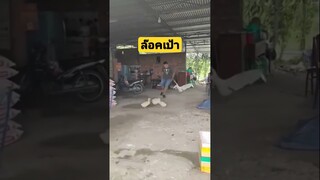 *ดูรวมคลิปเต็มกดลิงค์ข้างบน* ล็อคเป้าแล้วก็โจมตี #คลิปตลก #funny #reels #awesome
