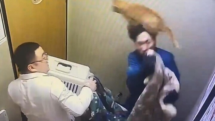 Opened the cage for 5 minutes and all I saw were afterimages! Doctor: "I really appreciate this!"