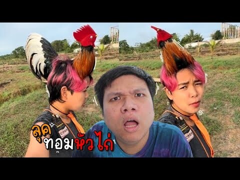 เฉี๊ยบ เฉียบ Ep.259 ห๊ะ !!! ทอมหัวไก่ ใครก็ชอบ