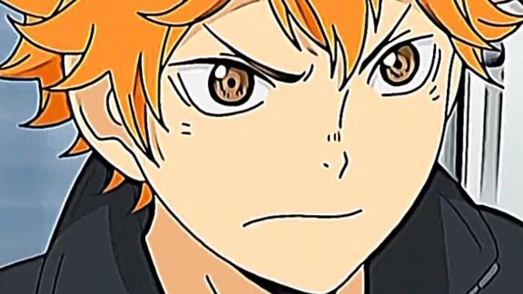 haikyuu!! shoyo hinata#