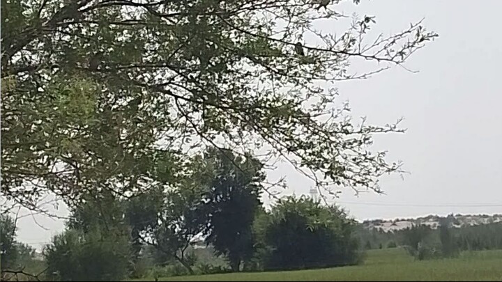 video_20261010_105836