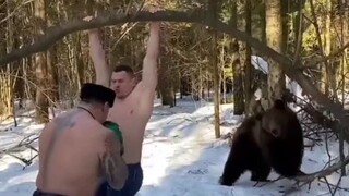 funny Bear 🐻🐻🐻🤣🤣