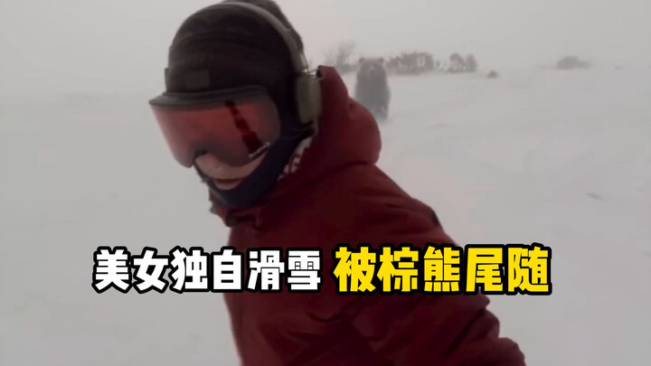 Mỹ nữ trượt tuyết một mình bị gấu nâu bám đuôi!