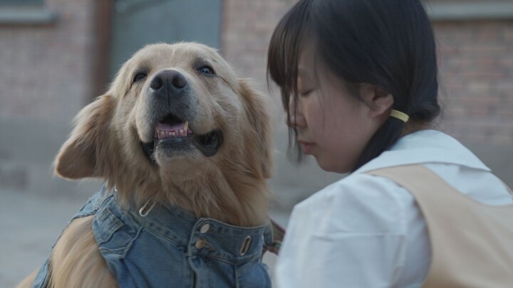 Chỉ mẹ hiền trong tay, áo con xa xứ trên người.