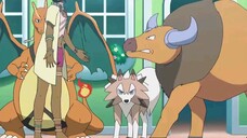 Pokemon sun and moon  episode 31 in english