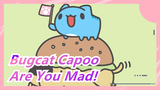 [Bugcat Capoo] Are You Mad!