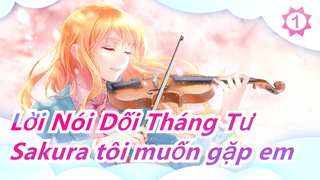 [Lời Nói Dối Tháng Tư] Sakura tôi muốn gặp em_1