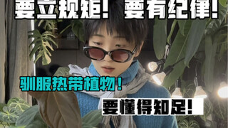 如何驯服热带植物？当然是要给它们立规矩啦！拿出你的威严！！！