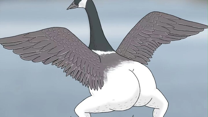 When I drew the butts on these birds...it suddenly felt right...